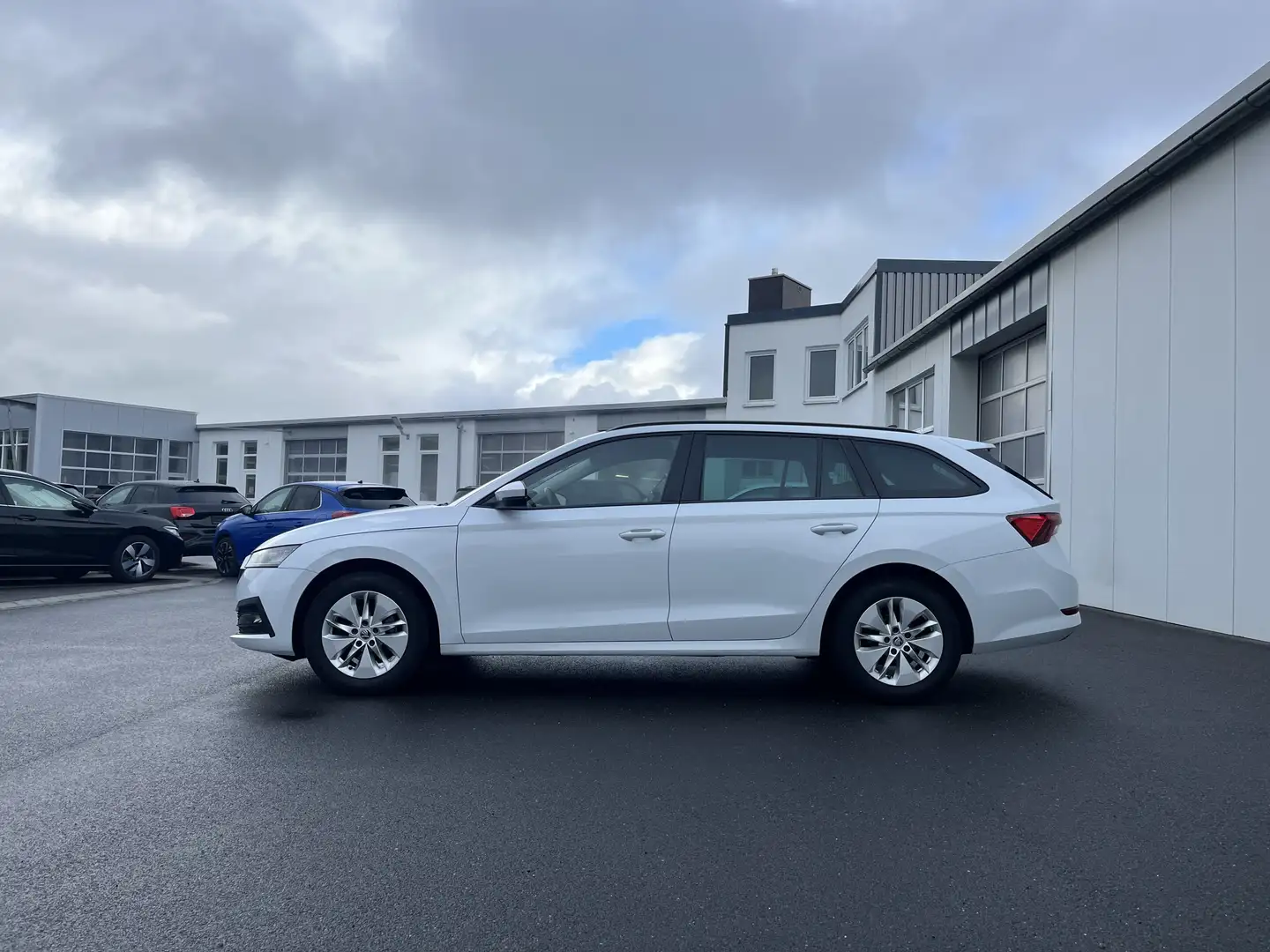 Skoda Octavia Combi 2.0 TDI DSG Ambition 144€ m. 20% Anzahlung Blanc - 2