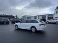 Skoda Octavia Combi 2.0 TDI DSG Ambition 144€ m. 20% Anzahlung Weiß - thumbnail 9
