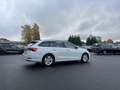 Skoda Octavia Combi 2.0 TDI DSG Ambition 144€ m. 20% Anzahlung Weiß - thumbnail 5