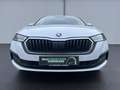 Skoda Octavia Combi 2.0 TDI DSG Ambition 144€ m. 20% Anzahlung Weiß - thumbnail 3