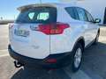 Toyota RAV 4 120D Active AWD Blanco - thumbnail 4
