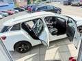 Renault Megane Life - thumbnail 28