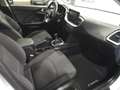 Kia 1.4 T-GDi 103kW (140CV) Drive Weiß - thumbnail 17