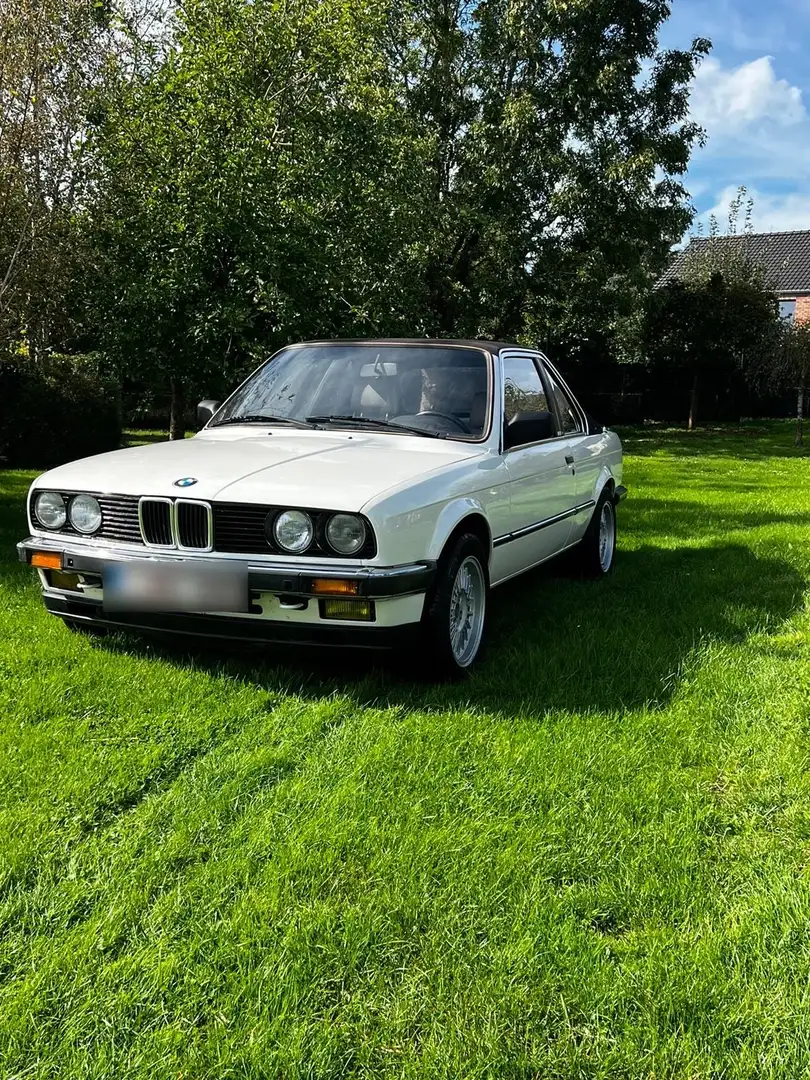 BMW 323 BMW 323i TC baur - 2