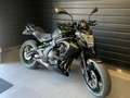 Kawasaki Gris - thumbnail 2