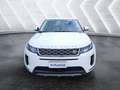 Land Rover Range Rover Evoque Evoque 2.0d i4 mhev SE awd 150cv auto Blanc - thumbnail 2