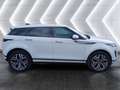 Land Rover Range Rover Evoque Evoque 2.0d i4 mhev SE awd 150cv auto Blanc - thumbnail 5