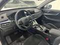 DR Automobiles DR7.0 DR 7.0 1.5 turbo Gpl 153cv dct Weiß - thumbnail 11