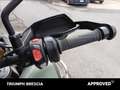 Triumph Tiger 1200 Rally Pro Abs Verde - thumbnail 10