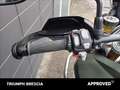 Triumph Tiger 1200 Rally Pro Abs Verde - thumbnail 9