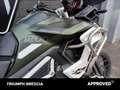Triumph Tiger 1200 Rally Pro Abs Verde - thumbnail 5