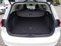 Ford Focus Turnier Titanium X Kamera LED GRA Navi Weiß - thumbnail 15