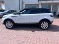 Land Rover Range Rover Evoque Range Rover Evoque 5p 2.0 td4 SE Dynamic 150cv Bianco - thumbnail 7