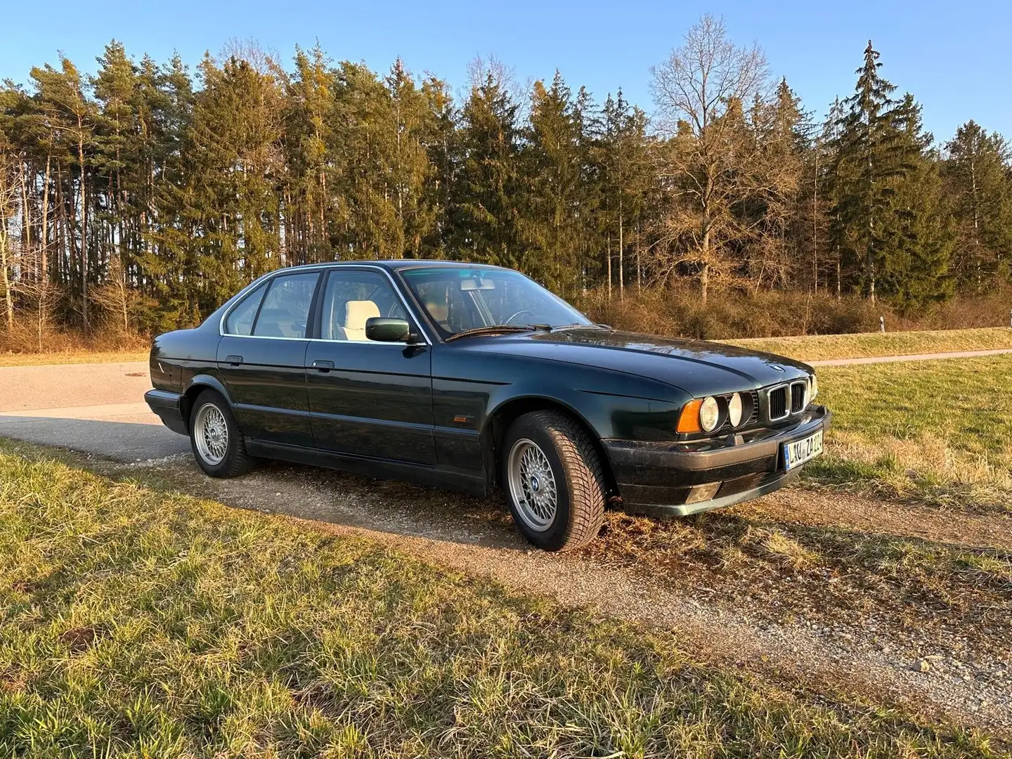 BMW 520 520i 24V, Garagenfahrzeug Verde - 1