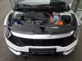 Kia Sportage Spirit Plug-in Hybrid Sonderfinanzierung 4,99 % Na Weiß - thumbnail 14