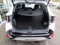 Kia Sportage Spirit Plug-in Hybrid Sonderfinanzierung 4,99 % Na Weiß - thumbnail 11