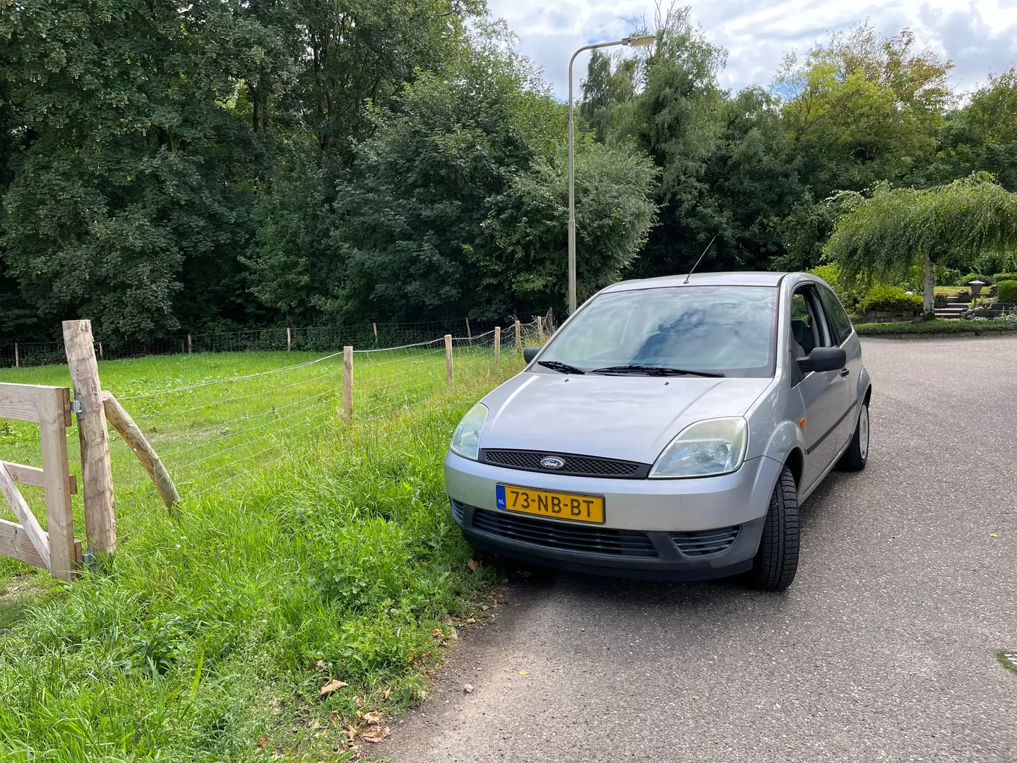 Ford Fiesta Fiesta 1.25-16V Celebration Argent - 2