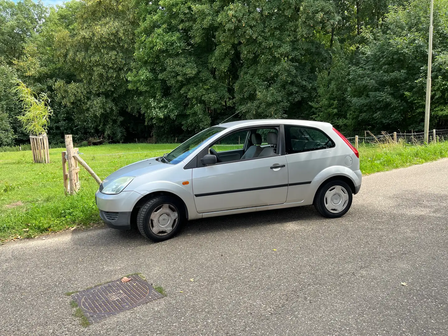 Ford Fiesta Fiesta 1.25-16V Celebration Argent - 1