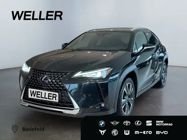 Lexus UX 250h Style Edition *Bi-LED*ACC*CAM*SHZ*CarPlay*
