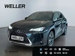 Lexus Other Style Edition *Bi LED*ACC*CAM*SHZ*CarPlay*