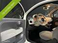 Fiat 500 1.2 Lounge - Goed onderhouden - Panorama - Nette s Wit - thumbnail 11