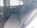 Kia Sportage 1.6 T.-GDI Vision MY26+DCT+Aktion+Sofort Blanco - thumbnail 10