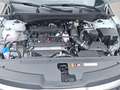 Kia Sportage 1.6 T.-GDI Vision MY26+DCT+Aktion+Sofort Blanco - thumbnail 14
