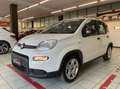 Fiat Panda Panda 1.0 firefly hybrid s Blanc - thumbnail 1
