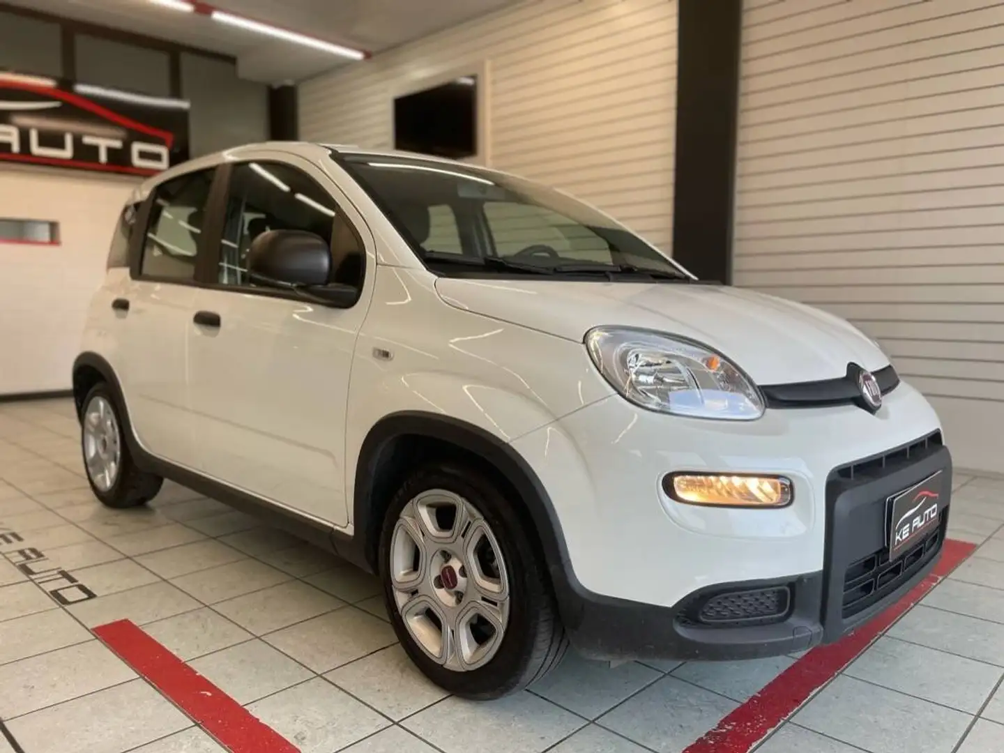 Fiat Panda Panda 1.0 firefly hybrid s Bianco - 1
