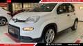 Fiat Panda Panda 1.0 firefly hybrid s Weiß - thumbnail 1