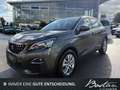 Peugeot 3008 ACTIVE KAMERA/360°/SCHECKHEFT BEI PEUGEOT Grün - thumbnail 1