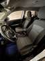 Suzuki Vitara Vitara II 1.4 hybrid Cool 4wd allgrip Bianco - thumbnail 3
