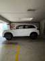 Suzuki Vitara Vitara II 1.4 hybrid Cool 4wd allgrip Bianco - thumbnail 1
