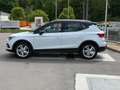 SEAT Arona FR1.5I TSI DSG Navi LED SHZ Kessy Blanc - thumbnail 2