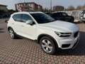 Volvo XC40 Geartronic Business Plus Bianco - thumbnail 3