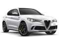 Alfa Romeo Stelvio 2.2 t Super rwd 160cv auto Bianco - thumbnail 1