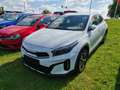 Kia XCeed 1.6 DCT PHEV Vision LED|RFK|SHZ|ACC Weiß - thumbnail 2