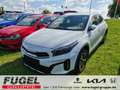 Kia XCeed 1.6 DCT PHEV Vision LED|RFK|SHZ|ACC Weiß - thumbnail 1