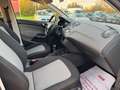 SEAT Ibiza ST Style Grau - thumbnail 18