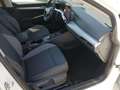 Volkswagen Golf Variant Goal 2.0TDI DSG Matrix AHK 360° ACC Weiß - thumbnail 14