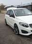 Mercedes-Benz B 200 B 200 CDI DPF SPORT EDITION urban AMG line Weiß - thumbnail 1