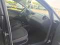 SEAT Ibiza Ibiza Berlina 5p 1.4 tdi cr Business 75cv Nero - thumbnail 13