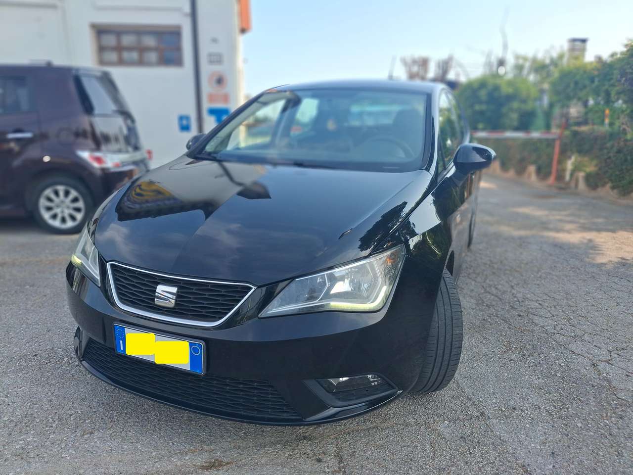 SEAT Ibiza Ibiza Berlina 5p 1.4 tdi cr Business 75cv