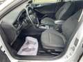 Ford Focus 1.5 Active Blanc - thumbnail 11