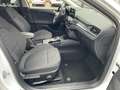 Ford Focus 1.5 Active Blanc - thumbnail 9