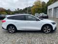 Ford Focus 1.5 Active Blanc - thumbnail 6