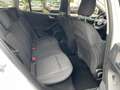 Ford Focus 1.5 Active Blanc - thumbnail 12