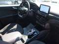 Ford Kuga Kuga 1.5 ecoblue ST-Line X 2wd 120cv autom. Grigio - thumbnail 7