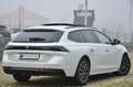 Peugeot 508 508 SW 2.0 bluehdi GT Line 163cv auto TETTO Bianco - thumbnail 6