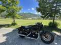 Harley-Davidson Iron 883 iron - thumbnail 1